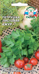 Петрушка Ажур