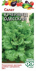 Салат Кучерявец Одесский