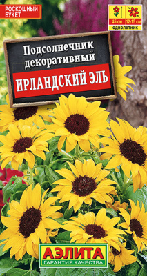 Подсолнечник Ирландский эль_ЦП