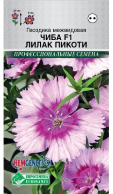 Гвоздика Лилак