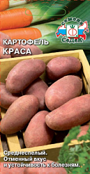 kartofel_krasa