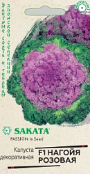 Капуста розовая