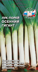 luk_osenniy_gigant