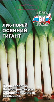 luk_osenniy_gigant