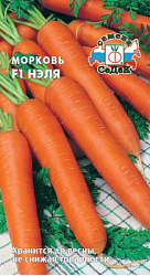 morkov_nelya_f1