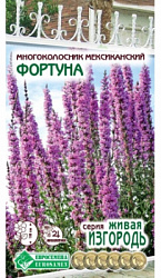 Многоколосник Фортуна