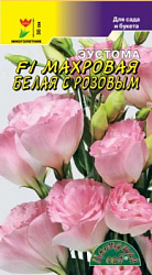 Эустома F1 Махровая Белая с Розовым