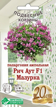 Пеларгония ампельная Рич Аут Мазурка