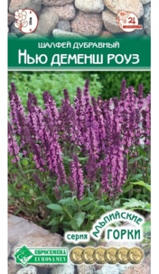 Шалфей нью деменш