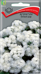 ageratum_bely_shar