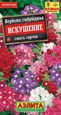 Вербена Искушение