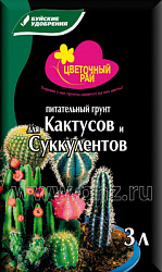 7fe437c17b9e7bc1be05528fc6714dd5 кактус