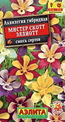 Аквилегия Мистер Скотт Эллиотт,смесь сортов_ЦП