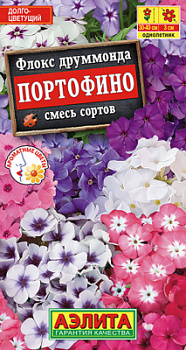 Флокс Портофино, смесь сортов_ЦП