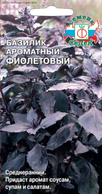 bazilik_aromatnyy_fioletovyy