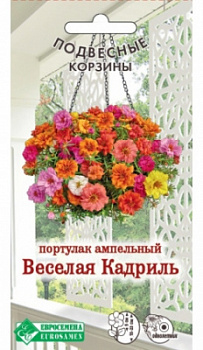 Портулак ампельный «Веселая Кадриль»