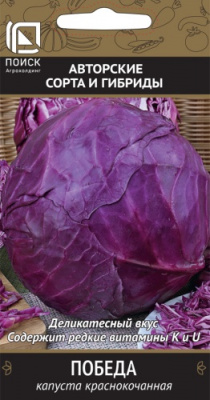 kapusta_krasnokoch_pobeda