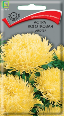 astra_kogotkovaya_zolotaya