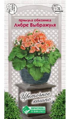 Примула Либре Выбражуля