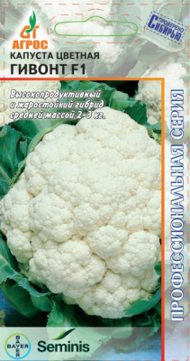Гивонт