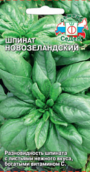 shpinat_novozelandskiy