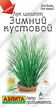 Лук Зимний кустовой