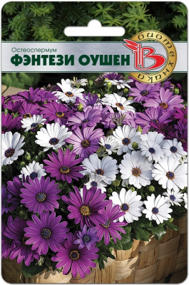 Фэнтези оушен