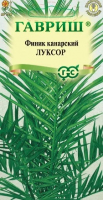 Финик Луксор