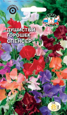 dushistyy_goroshek_spenser_smes