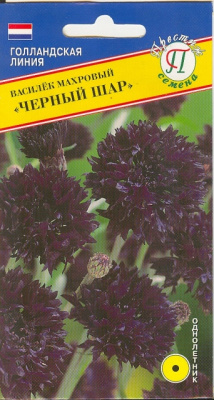 Василек черный шар