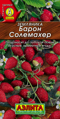 Земляника ремонтантная Барон Солемахер_ЦП