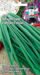 luk_pikantnyy