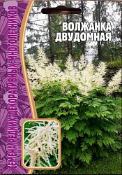 Волжанка