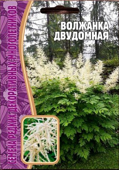 Волжанка