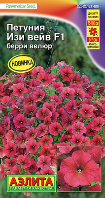 Петуния Изи вейв F1 берри велюр_ЦП