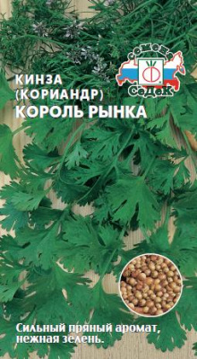 kinza_koriandr_korol_rynka