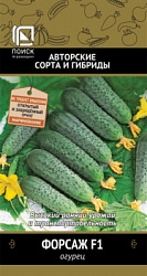 Огурец Форсаж