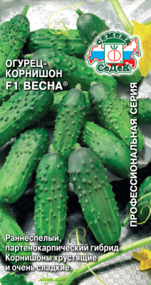 ogurets_vesna_f1
