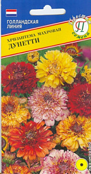 Хризантема Дунетти