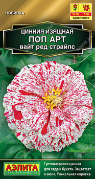 Цинния Поп арт вайт ред страйпс
