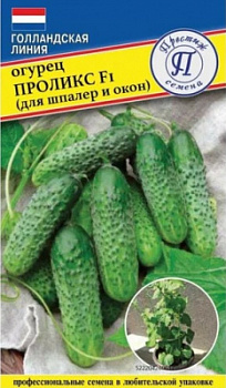 Огурец Проликс