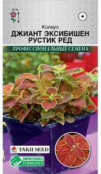 Рустик ред