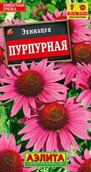 Эхинацея пурпурная (Рудбекия пурпурная)_ЦП