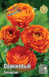 Ranunculus%20Orange 1
