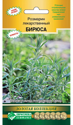 Розмарин Бирюса