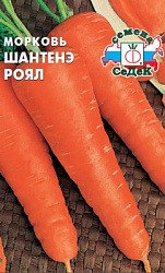 morkov_shantene_royal
