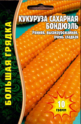 Бондюэль