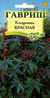 Клещевина красная