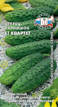 Огурец Квартет