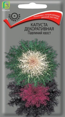 Капуста декоративная Павлиний хвост
